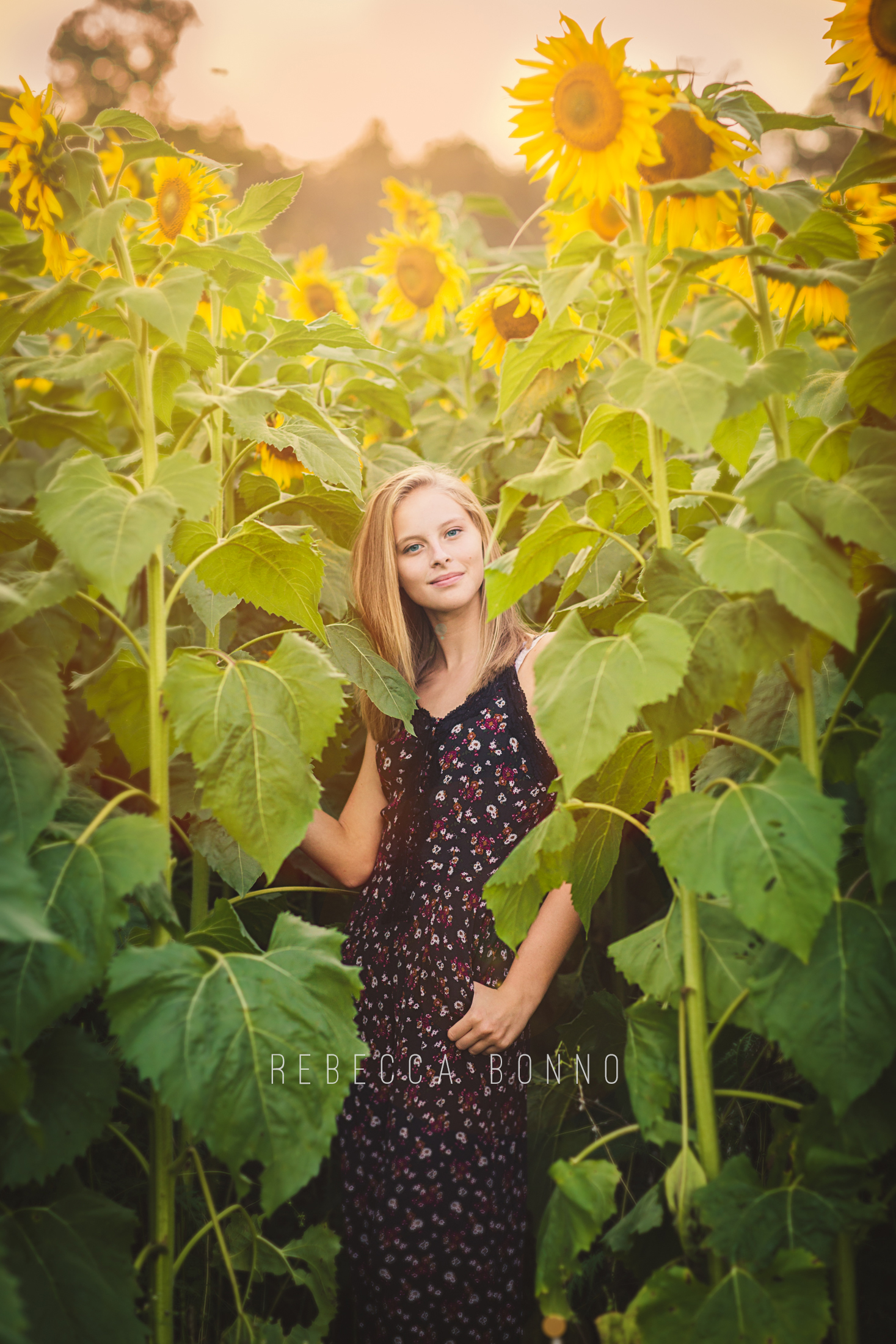 senior session with sunflowers